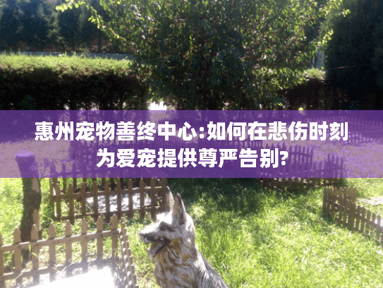 惠州宠物善终中心:如何在悲伤时刻为爱宠提供尊严告别?