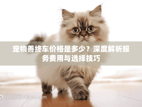 宠物善终车价格是多少？深度解析服务费用与选择技巧