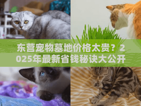 东营宠物墓地价格太贵？2025年最新省钱秘诀大公开