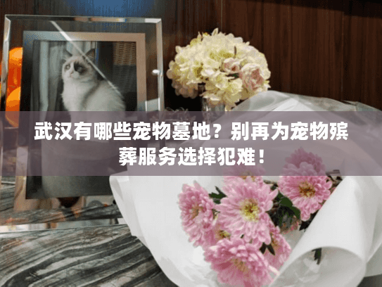 武汉有哪些宠物墓地？别再为宠物殡葬服务选择犯难！