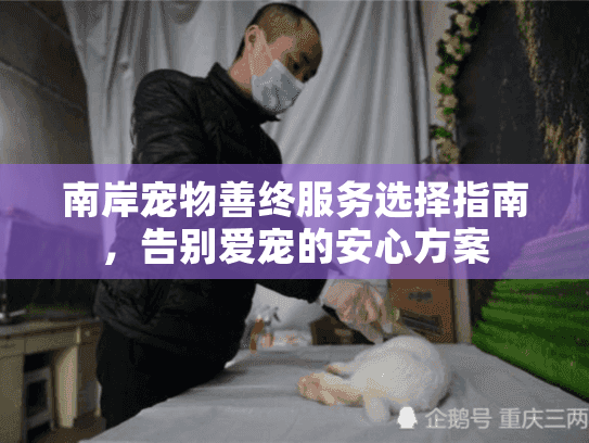 南岸宠物善终服务选择指南，告别爱宠的安心方案