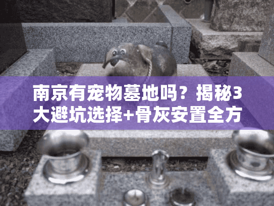 南京有宠物墓地吗？揭秘3大避坑选择+骨灰安置全方案