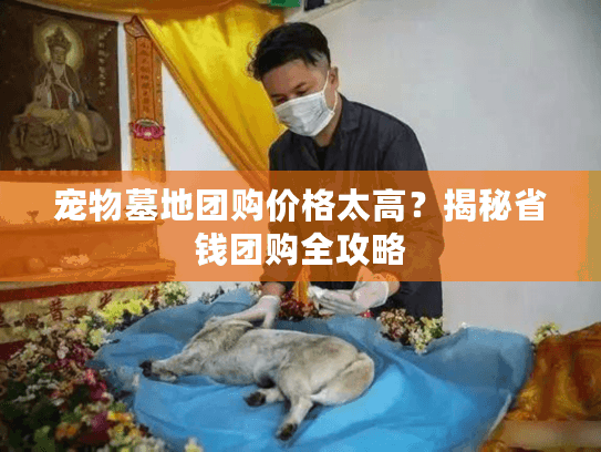 宠物墓地团购价格太高？揭秘省钱团购全攻略