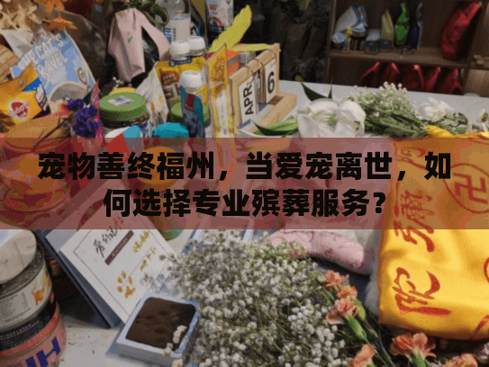宠物善终福州，当爱宠离世，如何选择专业殡葬服务？