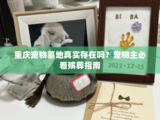 重庆宠物墓地真实存在吗？宠物主必看殡葬指南