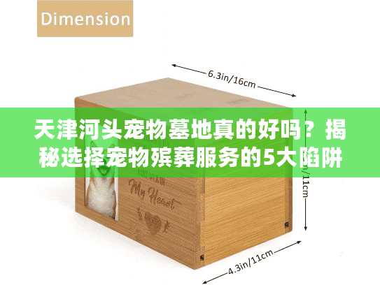 天津河头宠物墓地真的好吗？揭秘选择宠物殡葬服务的5大陷阱