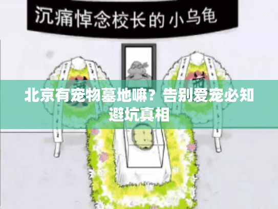 北京有宠物墓地嘛？告别爱宠必知避坑真相