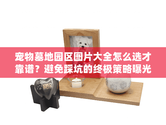 宠物墓地园区图片大全怎么选才靠谱？避免踩坑的终极策略曝光！