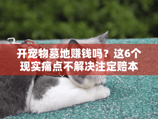开宠物墓地赚钱吗？这6个现实痛点不解决注定赔本