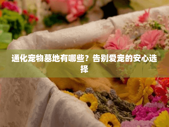 通化宠物墓地有哪些？告别爱宠的安心选择