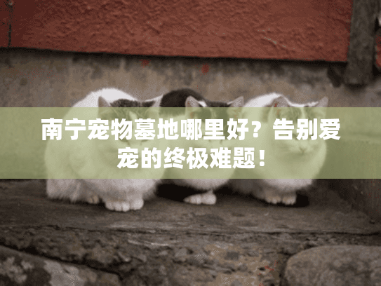 南宁宠物墓地哪里好？告别爱宠的终极难题！