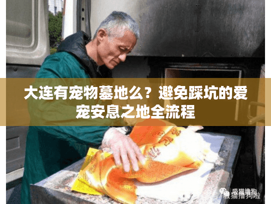 大连有宠物墓地么？避免踩坑的爱宠安息之地全流程