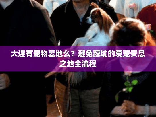 大连有宠物墓地么？避免踩坑的爱宠安息之地全流程