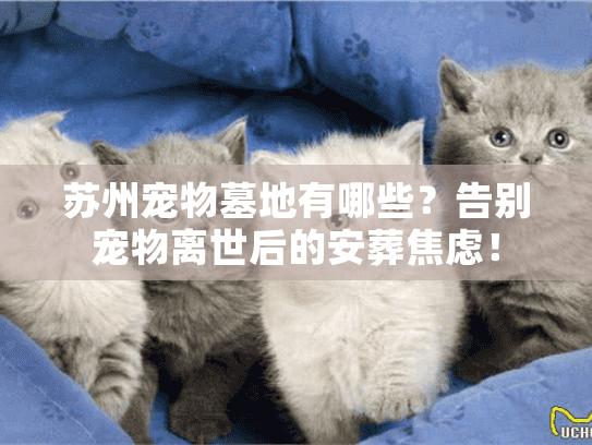 苏州宠物墓地有哪些？告别宠物离世后的安葬焦虑！