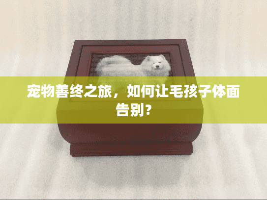 宠物善终之旅，如何让毛孩子体面告别？