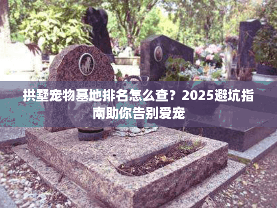 拱墅宠物墓地排名怎么查？2025避坑指南助你告别爱宠