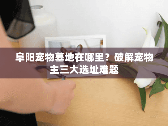 阜阳宠物墓地在哪里？破解宠物主三大选址难题