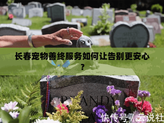 长春宠物善终服务如何让告别更安心？