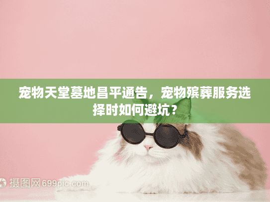 宠物天堂墓地昌平通告，宠物殡葬服务选择时如何避坑？