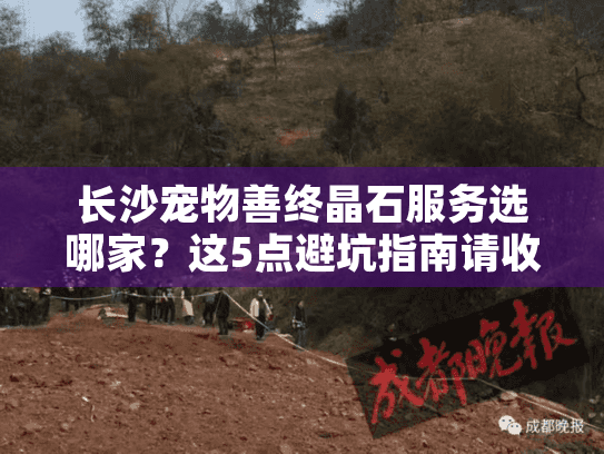 长沙宠物善终晶石服务选哪家？这5点避坑指南请收好