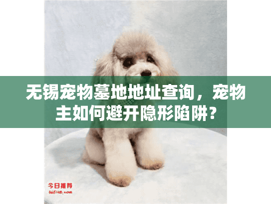 无锡宠物墓地地址查询，宠物主如何避开隐形陷阱？