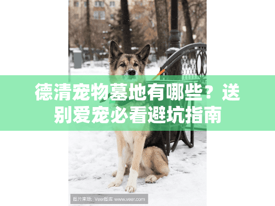 德清宠物墓地有哪些？送别爱宠必看避坑指南
