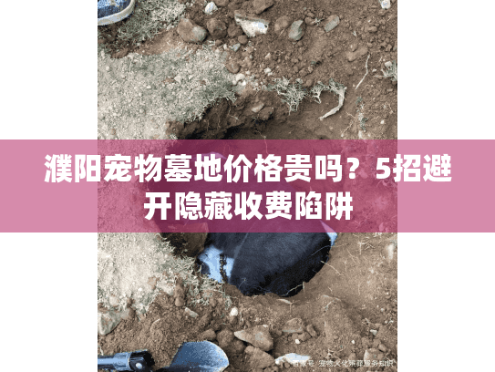 濮阳宠物墓地价格贵吗?5招避开隐藏收费陷阱 濮阳宠物墓地价格贵吗?5招避开隐藏收费陷阱