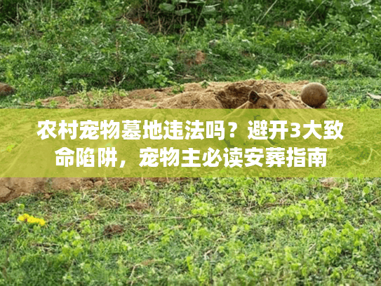 农村宠物墓地违法吗？避开3大致命陷阱，宠物主必读安葬指南