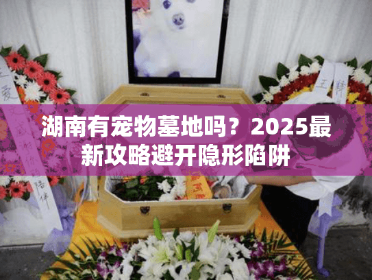 湖南有宠物墓地吗？2025最新攻略避开隐形陷阱