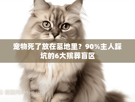 宠物死了放在墓地里？90%主人踩坑的6大殡葬盲区