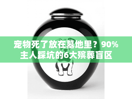 宠物死了放在墓地里？90%主人踩坑的6大殡葬盲区