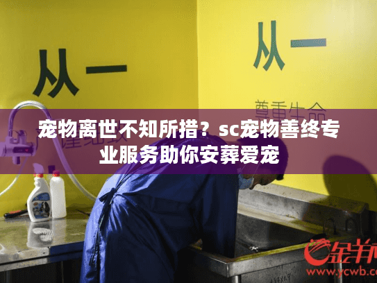 宠物离世不知所措？sc宠物善终专业服务助你安葬爱宠