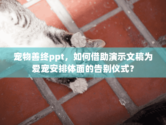 宠物善终ppt，如何借助演示文稿为爱宠安排体面的告别仪式？