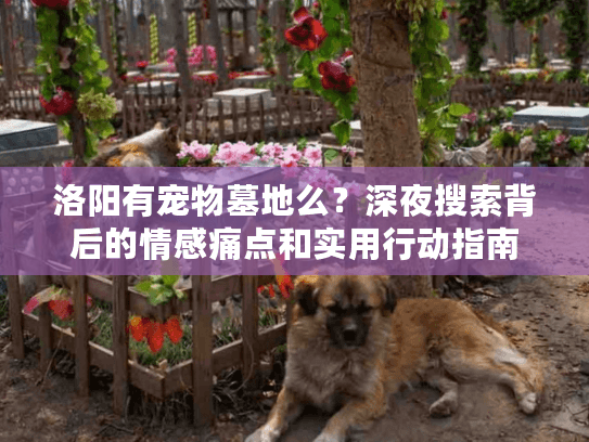 洛阳有宠物墓地么？深夜搜索背后的情感痛点和实用行动指南