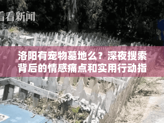 洛阳有宠物墓地么？深夜搜索背后的情感痛点和实用行动指南