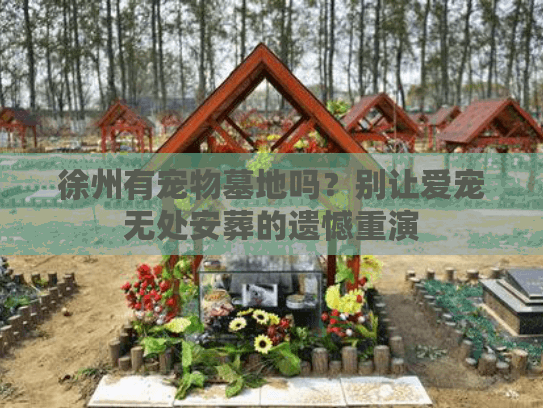 徐州有宠物墓地吗？别让爱宠无处安葬的遗憾重演