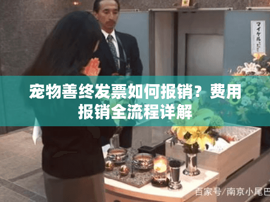 宠物善终发票如何报销？费用报销全流程详解