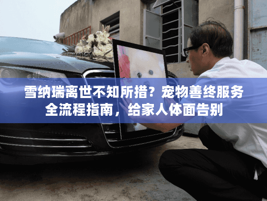 雪纳瑞离世不知所措？宠物善终服务全流程指南，给家人体面告别