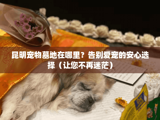 昆明宠物墓地在哪里？告别爱宠的安心选择（让您不再迷茫）
