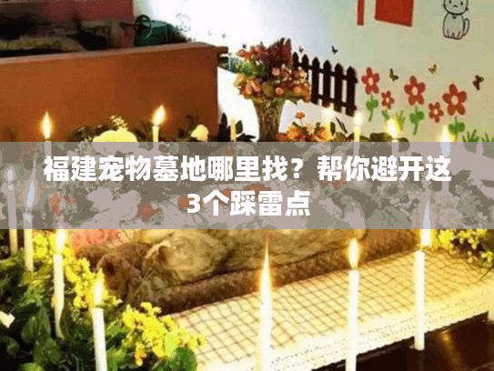 福建宠物墓地哪里找？帮你避开这3个踩雷点