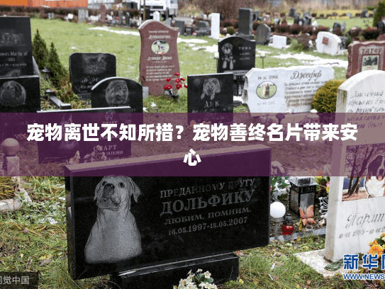 宠物离世不知所措？宠物善终名片带来安心