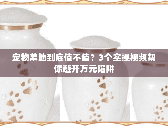 宠物墓地到底值不值？3个实操视频帮你避开万元陷阱