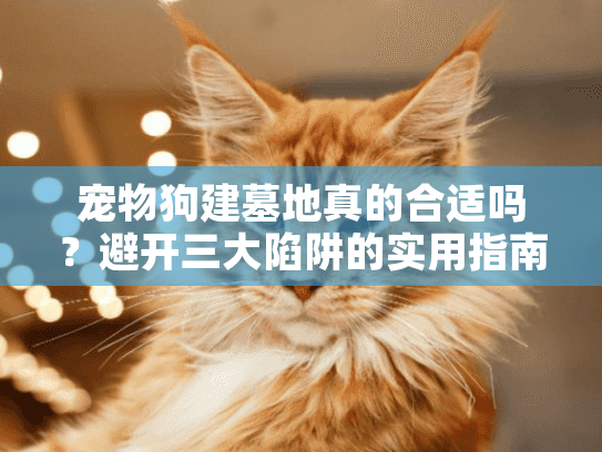 宠物狗建墓地真的合适吗？避开三大陷阱的实用指南