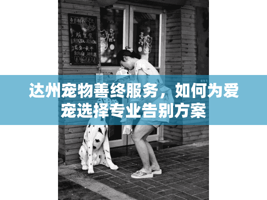 达州宠物善终服务，如何为爱宠选择专业告别方案