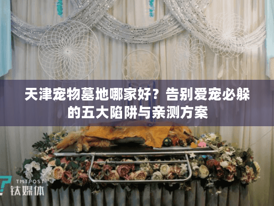 天津宠物墓地哪家好?告别爱宠必躲的五大陷阱与亲测方案 天津宠物墓地哪家好?告别爱宠必躲的五大陷阱与亲测方案
