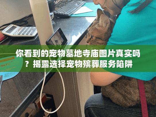 你看到的宠物墓地寺庙图片真实吗？揭露选择宠物殡葬服务陷阱