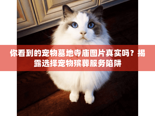你看到的宠物墓地寺庙图片真实吗？揭露选择宠物殡葬服务陷阱