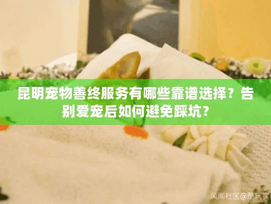 昆明宠物善终服务有哪些靠谱选择？告别爱宠后如何避免踩坑？