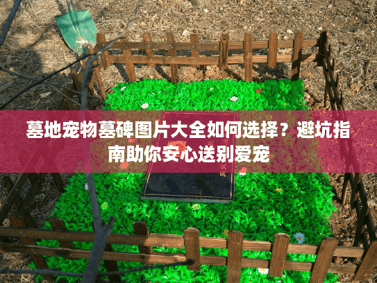 墓地宠物墓碑图片大全如何选择？避坑指南助你安心送别爱宠