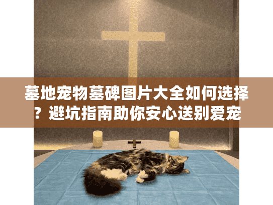 墓地宠物墓碑图片大全如何选择？避坑指南助你安心送别爱宠